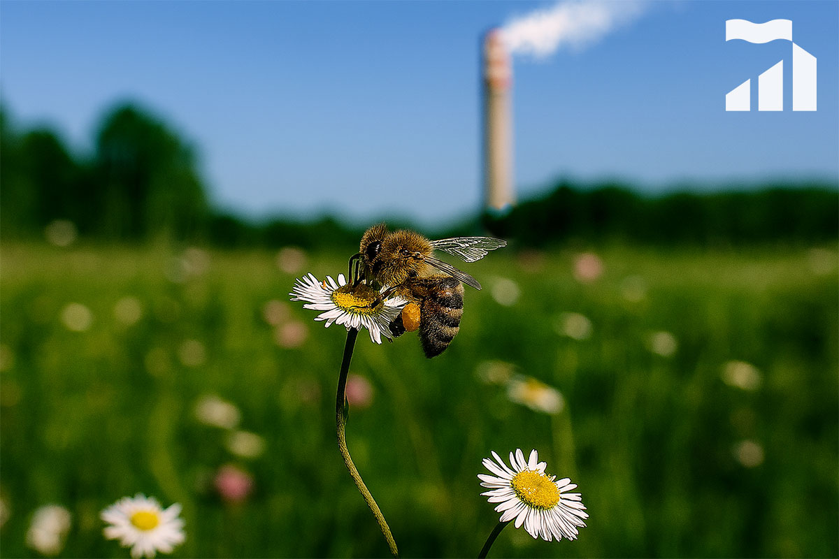 Biomonitoraggio ambientale